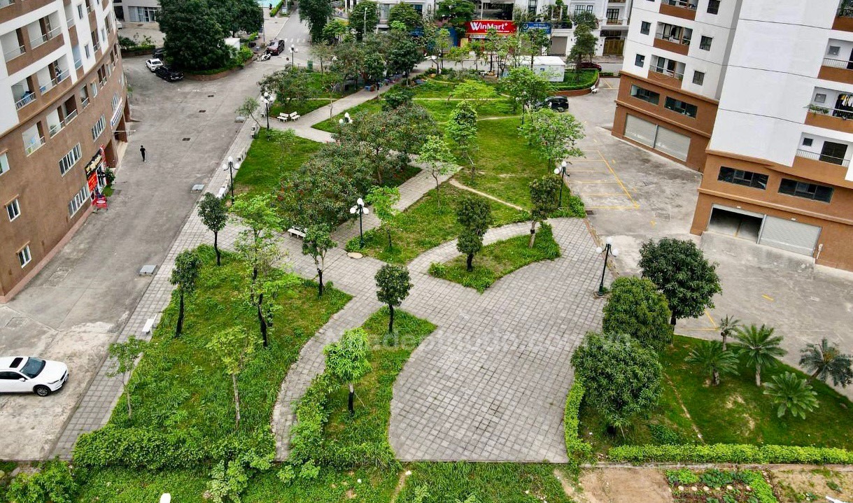 vườn cây nội khu Ct4 Yên Nghĩa